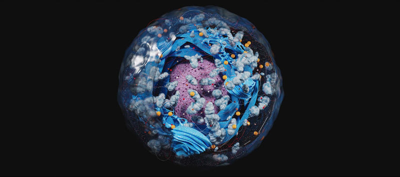 Thumbnail for 6 research-backed ways to support your cell health