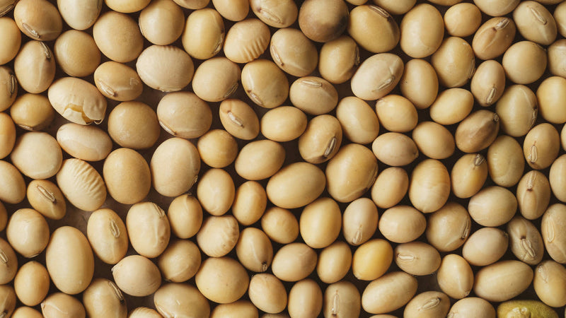 What is S-equol?