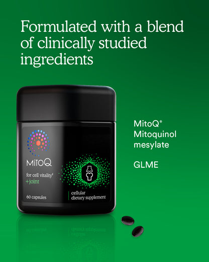 MitoQ +joint