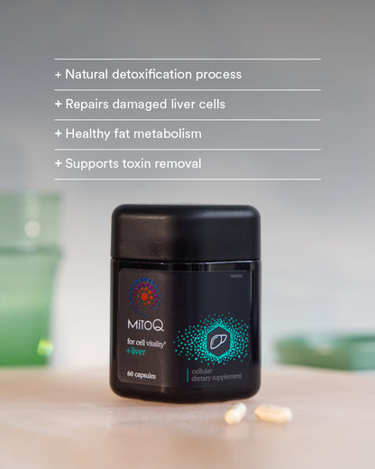 MitoQ +liver