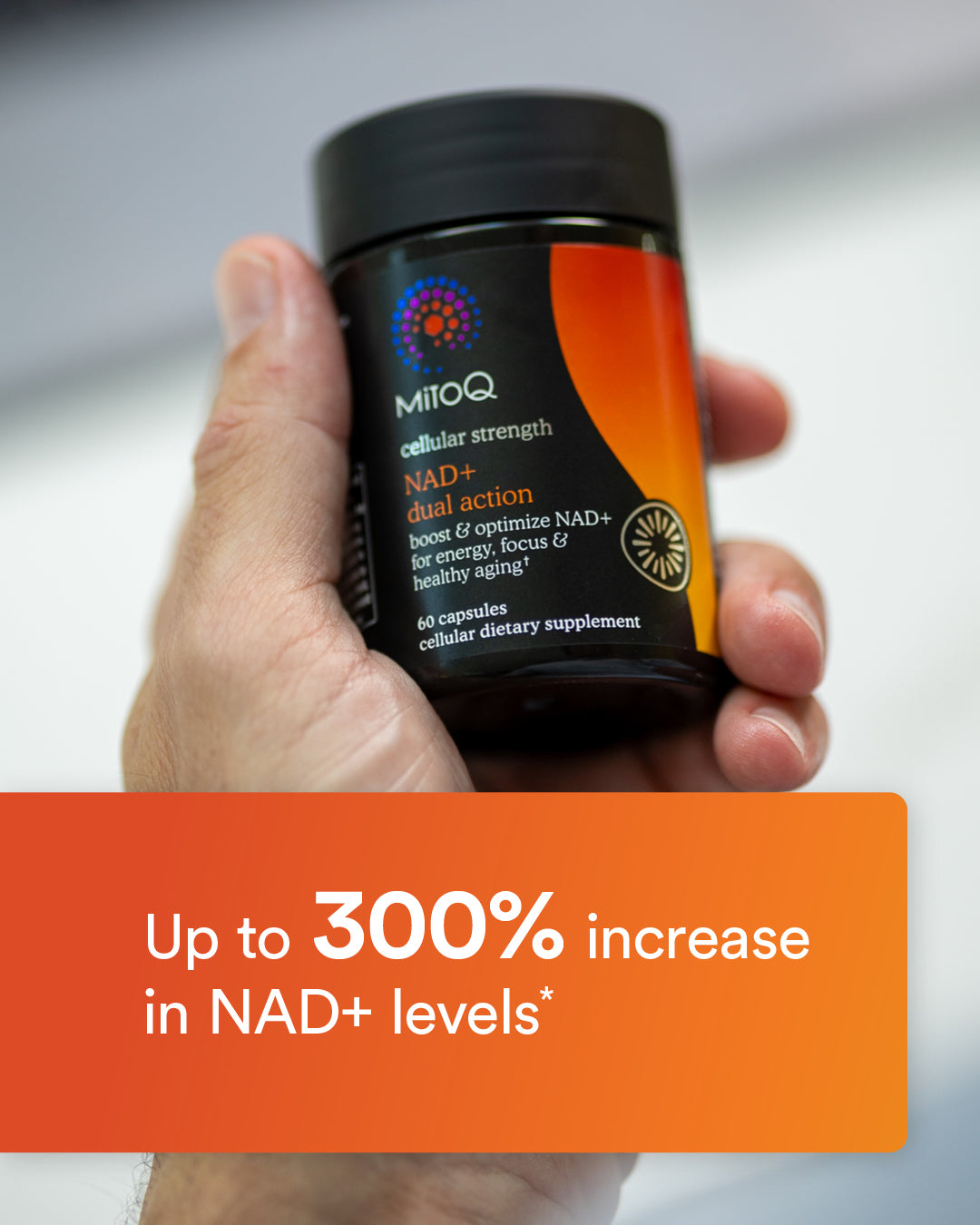 MitoQ NAD+ dual action