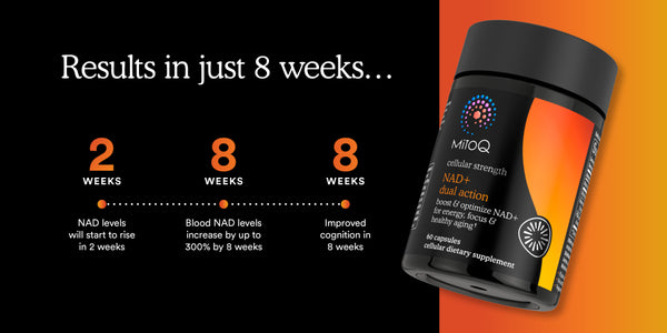 MitoQ NAD+ dual action supplement bottle with time-based benefits on a black and orange gradient background