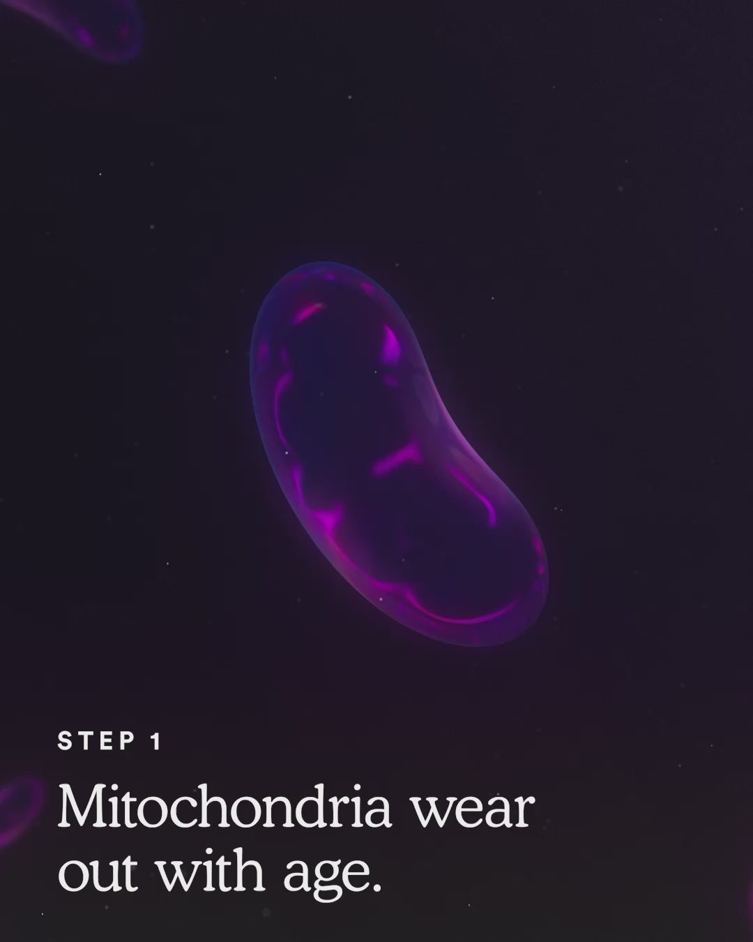 How MitoQ Pure Works